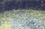 Burghasungen, Germany crop circle, aerial photo 6