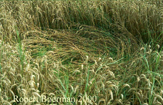 Brummen, Netherlands crop circle, aerial photo 4