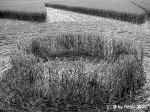 Burghasungen (2), Germany crop circle, aerial photo 4