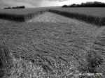 Burghasungen (2), Germany crop circle, aerial photo 5