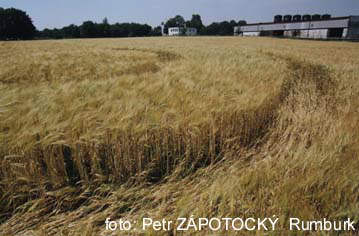 Krasna Lipa, Czech Republic crop circle, aerial photo 3