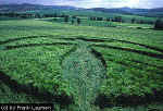 Drnberg, Germany crop circle, aerial photo 2