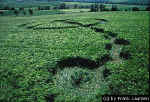 Drnberg, Germany crop circle, aerial photo 3