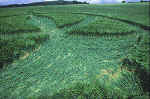 Drnberg, Germany crop circle, aerial photo 4