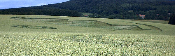 Gut Escheberg, Germany crop circle, aerial photo 2