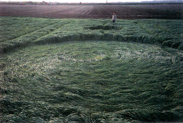 Hoeven, Netherlands crop circle, aerial photo 2