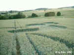 Netze, Germany crop circle, aerial photo 6