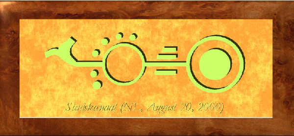Stadskanaal (2), Netherlands crop circle, aerial photo 3