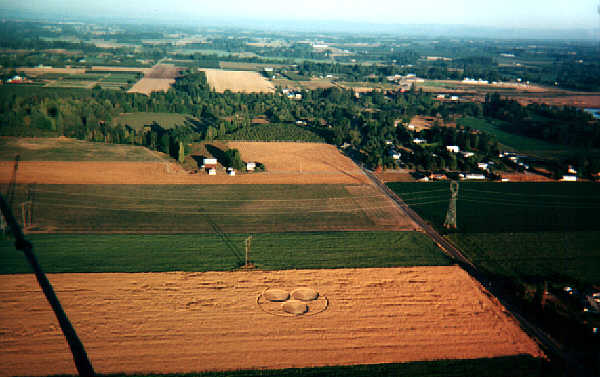 Whiskey Hill Road, USA crop circle, aerial photo 6