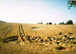 Bystrice pod Hostynem, Czech Republic crop circle, aerial photo 2