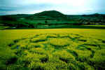 Zierenberg, Germany crop circle, aerial photo 14