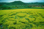 Zierenberg, Germany crop circle, aerial photo 16