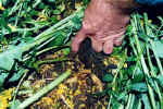 Zierenberg, Germany crop circle, aerial photo 13