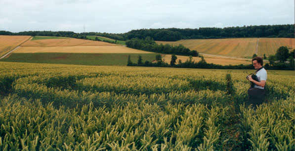 Kirchhardt, Germany crop circle, aerial photo 2
