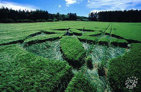 Zueschen, Germany crop circle, aerial photo 9
