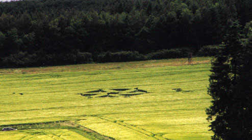 Zueschen, Germany crop circle, aerial photo 7