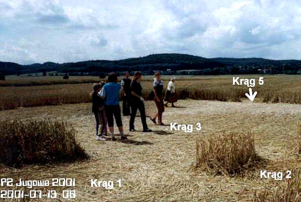 Jugowa, Poland crop circle, aerial photo 2