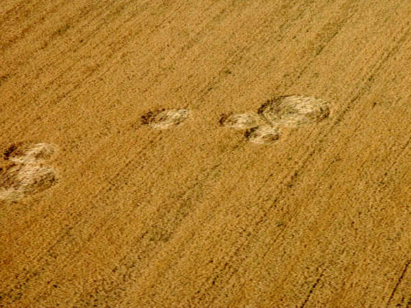 Vanderhoof, Canada crop circle, aerial photo 2