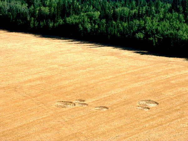 Vanderhoof, Canada crop circle, aerial photo 3