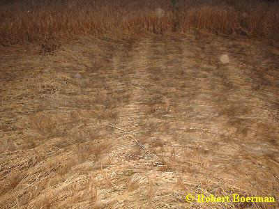 Didam, Netherlands crop circle, aerial photo 2