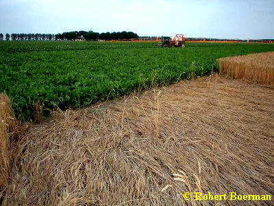 Lelystad, Netherlands crop circle, aerial photo 2