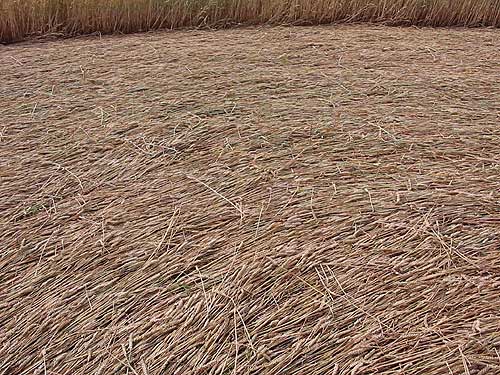 Waldwisse, France crop circle, aerial photo 3