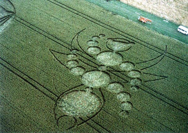Methven, New Zealand crop circle, aerial photo 5
