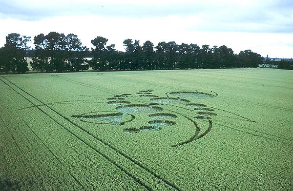 Methven, New Zealand crop circle, aerial photo 6