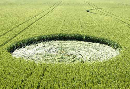 Busswil, Switerland, Switzerland crop circle, aerial photo 4