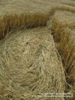 Kietrzem, Poland crop circle, aerial photo 19