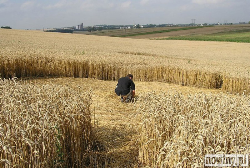 Kietrzem, Poland crop circle, aerial photo 5