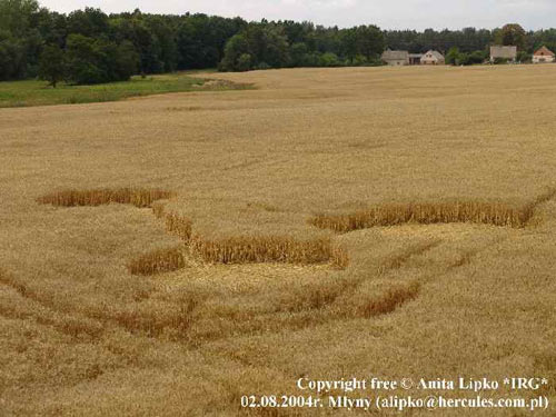 Kietrzem, Poland crop circle, aerial photo 17