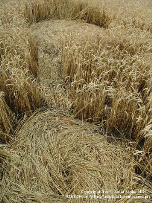Kietrzem, Poland crop circle, aerial photo 11