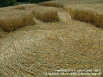 Kietrzem, Poland crop circle, aerial photo 14