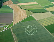 Near Ursellen, Switzerland crop circle, aerial photo 4