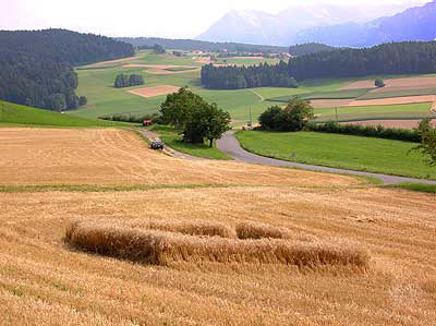 Near Ursellen, Switzerland crop circle, aerial photo 2
