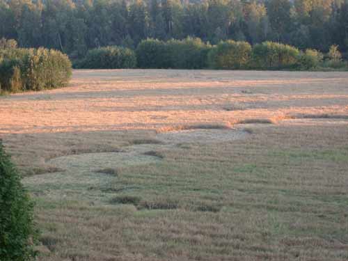 Anna Lorenz, the woman who, Sweden crop circle, aerial photo 5