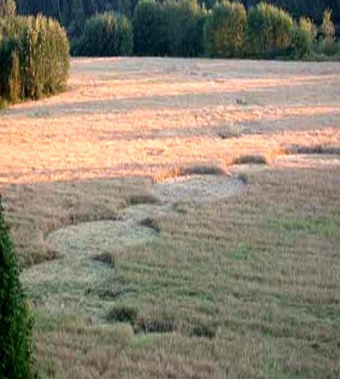 Anna Lorenz, the woman who, Sweden crop circle, aerial photo 6