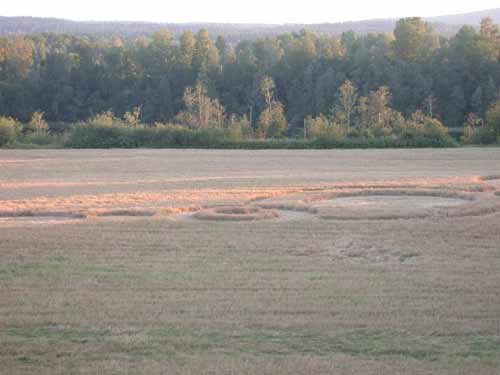 Anna Lorenz, the woman who, Sweden crop circle, aerial photo 4