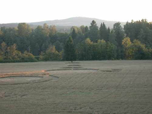 Anna Lorenz, the woman who, Sweden crop circle, aerial photo 3