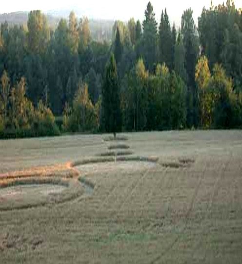 Anna Lorenz, the woman who, Sweden crop circle, aerial photo 7