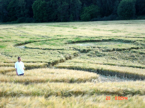 Sweden Tystberga (Smiley), Sweden crop circle, aerial photo 4