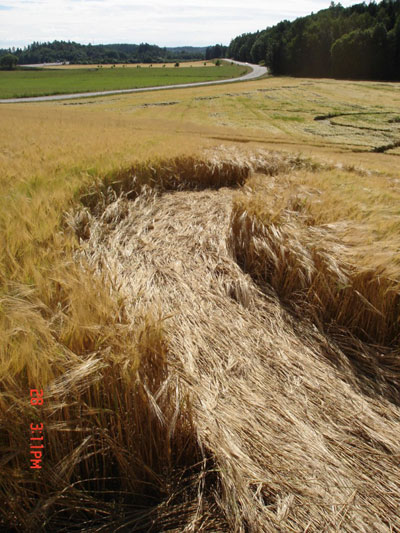 Sweden Tystberga (Smiley), Sweden crop circle, aerial photo 5
