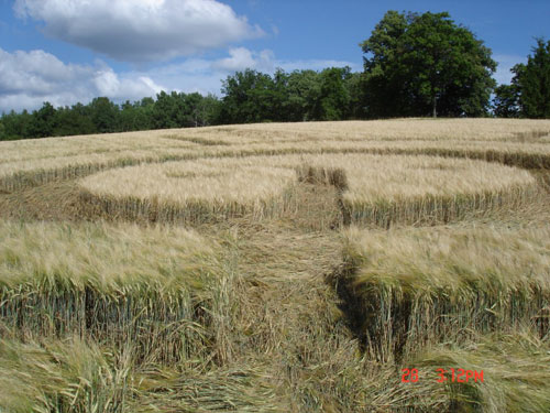 Sweden Tystberga (Smiley), Sweden crop circle, aerial photo 6