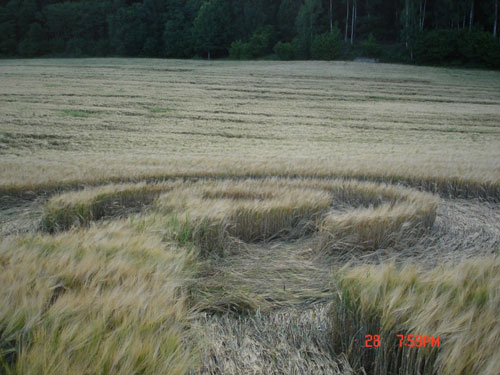 Sweden Tystberga (Smiley), Sweden crop circle, aerial photo 8