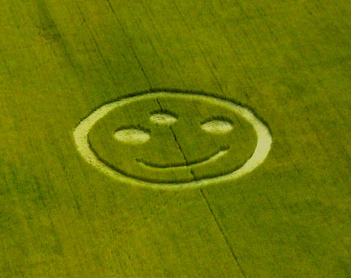 Sweden Tystberga (Smiley), Sweden crop circle, aerial photo 10