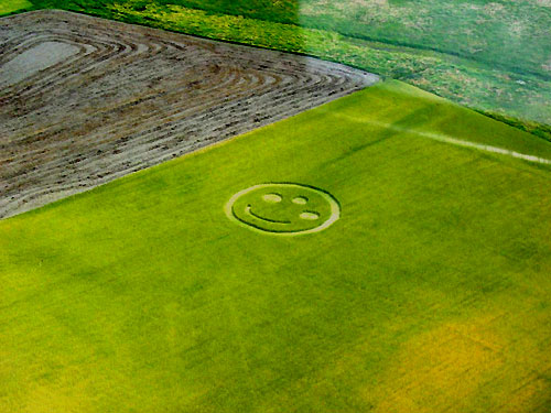 Sweden Tystberga (Smiley), Sweden crop circle, aerial photo 11