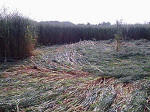 Belgian formation was, Belgium crop circle, aerial photo 4