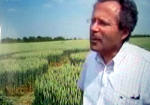 Belgian formation was, Belgium crop circle, aerial photo 26