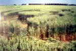 Belgian formation was, Belgium crop circle, aerial photo 29